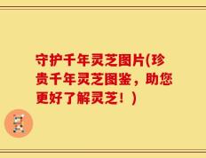 守护千年灵芝图片(珍贵千年灵芝图鉴，助您更好了解灵芝！)