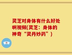 灵芝对身体有什么好处啊视频(灵芝：身体的神奇“灵丹妙药”)