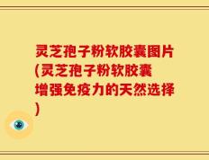 灵芝孢子粉软胶囊图片(灵芝孢子粉软胶囊 增强免疫力的天然选择)