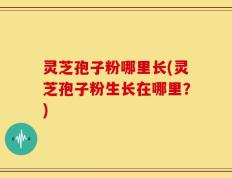 灵芝孢子粉哪里长(灵芝孢子粉生长在哪里？)