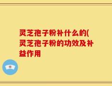 灵芝孢子粉补什么的(灵芝孢子粉的功效及补益作用