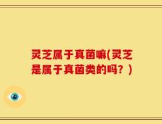 灵芝属于真菌嘛(灵芝是属于真菌类的吗？)