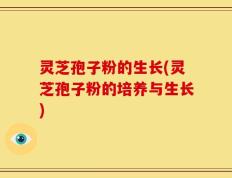 灵芝孢子粉的生长(灵芝孢子粉的培养与生长)