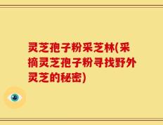 灵芝孢子粉采芝林(采摘灵芝孢子粉寻找野外灵芝的秘密)