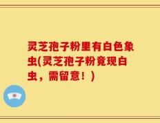 灵芝孢子粉里有白色象虫(灵芝孢子粉竟现白虫，需留意！)