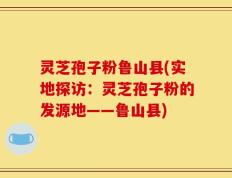 灵芝孢子粉鲁山县(实地探访：灵芝孢子粉的发源地——鲁山县)