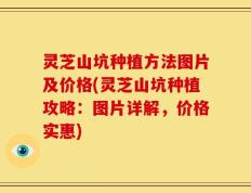 灵芝山坑种植方法图片及价格(灵芝山坑种植攻略：图片详解，价格实惠)