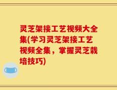 灵芝架接工艺视频大全集(学习灵芝架接工艺视频全集，掌握灵芝栽培技巧)