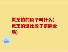 灵芝拍的段子叫什么(灵芝的逗比段子萌翻全场)