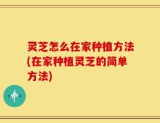灵芝怎么在家种植方法(在家种植灵芝的简单方法)