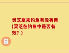灵芝拿来钓鱼有没有用(灵芝在钓鱼中是否有效？)