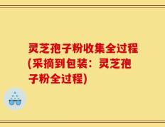 灵芝孢子粉收集全过程(采摘到包装：灵芝孢子粉全过程)