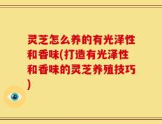 灵芝怎么养的有光泽性和香味(打造有光泽性和香味的灵芝养殖技巧)
