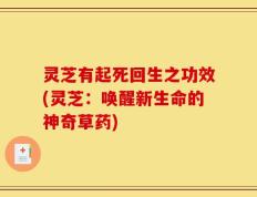 灵芝有起死回生之功效(灵芝：唤醒新生命的神奇草药)