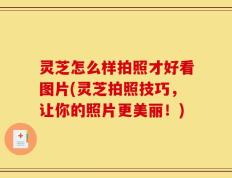 灵芝怎么样拍照才好看图片(灵芝拍照技巧，让你的照片更美丽！)