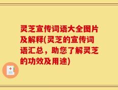 灵芝宣传词语大全图片及解释(灵芝的宣传词语汇总，助您了解灵芝的功效及用途)