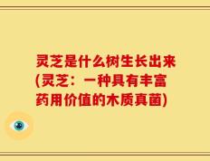 灵芝是什么树生长出来(灵芝：一种具有丰富药用价值的木质真菌)