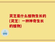 灵芝是什么植物生长的(灵芝：一种神奇生长的植物)