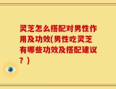 灵芝怎么搭配对男性作用及功效(男性吃灵芝有哪些功效及搭配建议？)