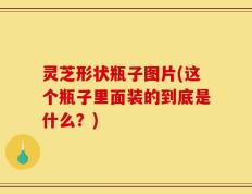 灵芝形状瓶子图片(这个瓶子里面装的到底是什么？)