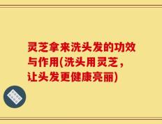 灵芝拿来洗头发的功效与作用(洗头用灵芝，让头发更健康亮丽)