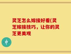 灵芝怎么嫁接好看(灵芝嫁接技巧，让你的灵芝更美观