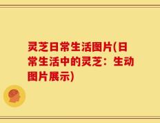 灵芝日常生活图片(日常生活中的灵芝：生动图片展示)