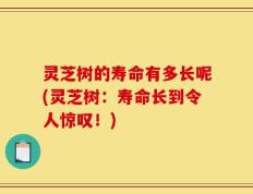 灵芝树的寿命有多长呢(灵芝树：寿命长到令人惊叹！)