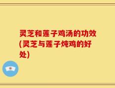 灵芝和莲子鸡汤的功效(灵芝与莲子炖鸡的好处)
