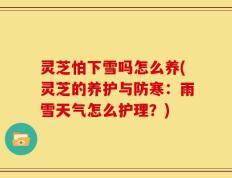 灵芝怕下雪吗怎么养(灵芝的养护与防寒：雨雪天气怎么护理？)