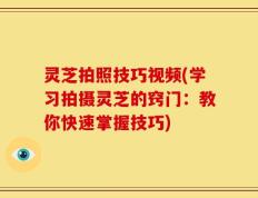 灵芝拍照技巧视频(学习拍摄灵芝的窍门：教你快速掌握技巧)
