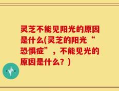 灵芝不能见阳光的原因是什么(灵芝的阳光“恐惧症”，不能见光的原因是什么？)