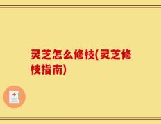 灵芝怎么修枝(灵芝修枝指南)