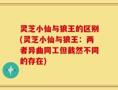 灵芝小仙与狼王的区别(灵芝小仙与狼王：两者异曲同工但截然不同的存在)