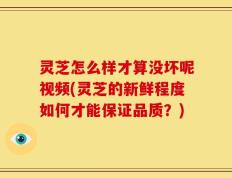 灵芝怎么样才算没坏呢视频(灵芝的新鲜程度如何才能保证品质？)