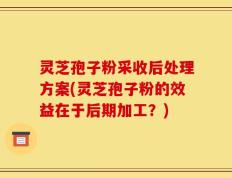 灵芝孢子粉采收后处理方案(灵芝孢子粉的效益在于后期加工？)