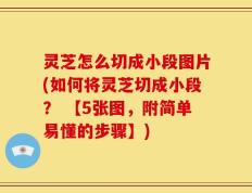 灵芝怎么切成小段图片(如何将灵芝切成小段？ 【5张图，附简单易懂的步骤】)