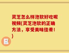 灵芝怎么样泡软好吃呢视频(灵芝泡软的正确方法，享受美味佳肴！)