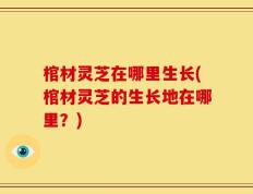 棺材灵芝在哪里生长(棺材灵芝的生长地在哪里？)