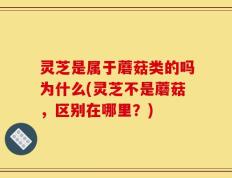 灵芝是属于蘑菇类的吗为什么(灵芝不是蘑菇，区别在哪里？)