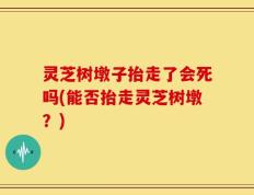 灵芝树墩子抬走了会死吗(能否抬走灵芝树墩？)