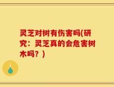 灵芝对树有伤害吗(研究：灵芝真的会危害树木吗？)