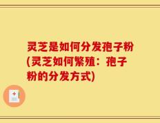 灵芝是如何分发孢子粉(灵芝如何繁殖：孢子粉的分发方式)