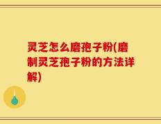 灵芝怎么磨孢子粉(磨制灵芝孢子粉的方法详解)