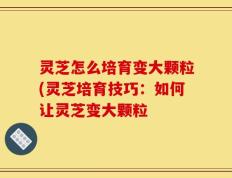 灵芝怎么培育变大颗粒(灵芝培育技巧：如何让灵芝变大颗粒