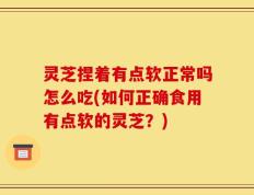 灵芝捏着有点软正常吗怎么吃(如何正确食用有点软的灵芝？)