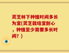 灵芝林下种植时间多长为宜(灵芝栽培宜耐心，种植至少需要多长时间？)