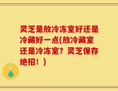 灵芝是放冷冻室好还是冷藏好一点(放冷藏室还是冷冻室？灵芝保存绝招！)