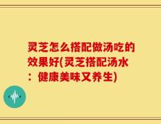 灵芝怎么搭配做汤吃的效果好(灵芝搭配汤水：健康美味又养生)