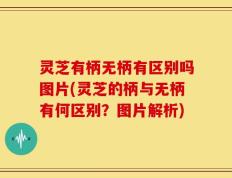 灵芝有柄无柄有区别吗图片(灵芝的柄与无柄有何区别？图片解析)